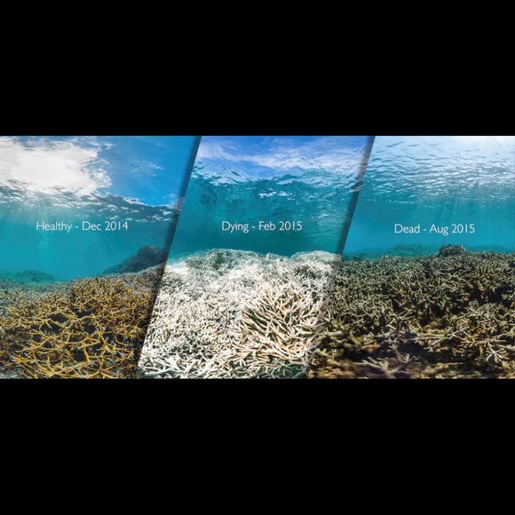 Meee - Picture 2 of 5